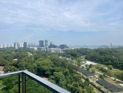 Normanton Park (D5), Apartment #555184931